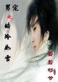 男宠之皓冷如雪