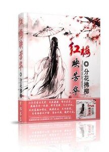 红梅映芳华
